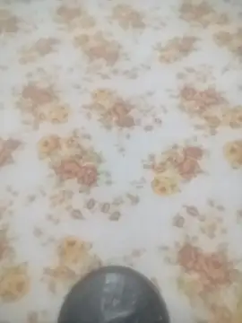 Snapshot of Working- chatting on 01/19/26, 12:09 Working- online show from 01/19/26, 12:09