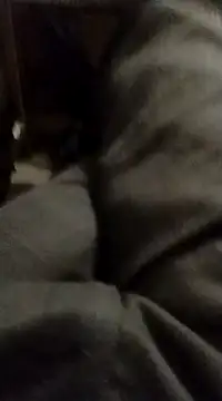 Snapshot of myhot1551 chatting on 02/15/25, 04:25 myhot1551 online show from 02/15/25, 04:25