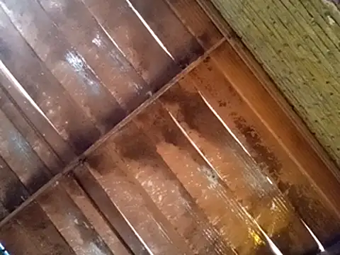 Pablunt-rap online show from 11/14/25, 02:16