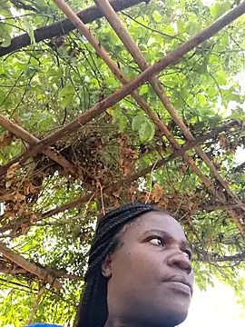 missarpie online show from 01/15/26, 11:37