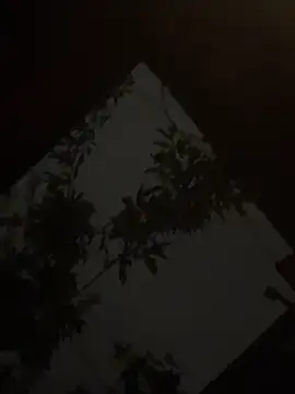 holyeroticss online show from 09/25/25, 01:31