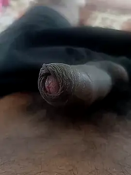 sat 1234 online show from 12/15/24, 04:51