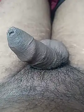 sat 1234 online show from 01/10/25, 03:58