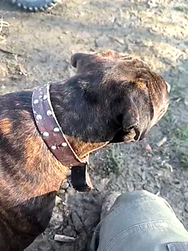 mitulik84 online show from 12/19/25, 11:50