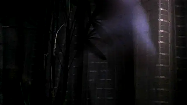 funguybr36 online show from 09/19/25, 11:00