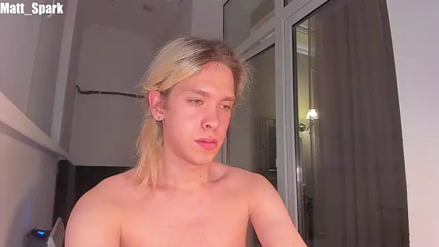 Snapshot of matt_spark chatting on 03/13/25, 05:28 matt spark online show from 03/13/25, 05:28