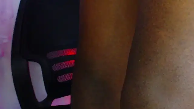 honkzone online show from 04/01/26, 01:41