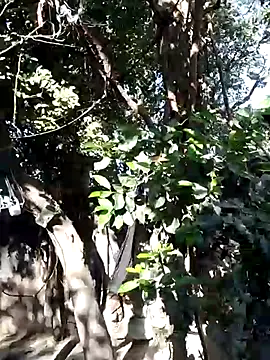 Hot-rubina online show from 03/05/25, 03:18