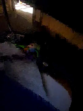 daddysmalldick502 online show from 11/04/25, 06:40