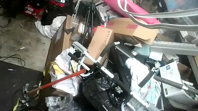 tongueispowerr6d9 online show from 01/16/25, 05:42