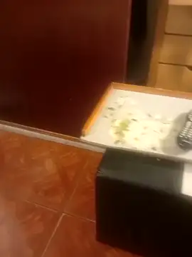 jmliimonsito online show from 04/03/26, 11:36