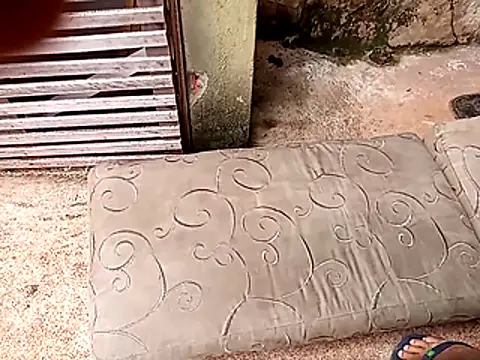 Snapshot of wel9238 chatting on 02/25/26, 04:38 wel9238 online show from 02/25/26, 04:38