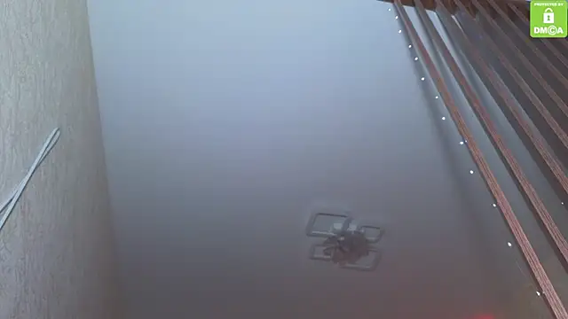 Katy perry  online show from 11/27/25, 03:52