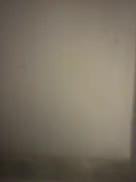 orient zob online show from 01/07/26, 02:47