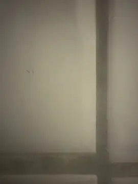 orient zob online show from 02/19/26, 12:39