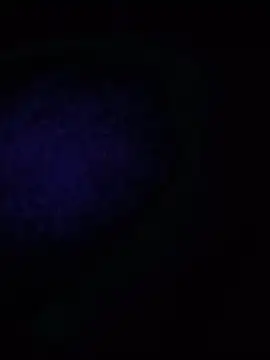Hotukcoup online show from 07/21/26, 08:33
