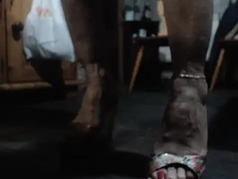 eva2023sexy online show from 02/05/26, 09:08