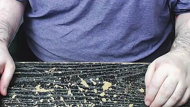 Dominant BEAR online show from 11/04/25, 04:33