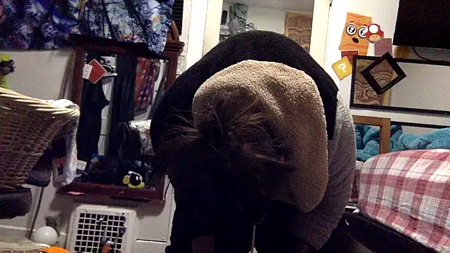 Robriguezxxx online show from 03/22/25, 05:39