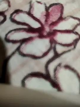 bigboobyrush online show from 04/13/26, 06:24