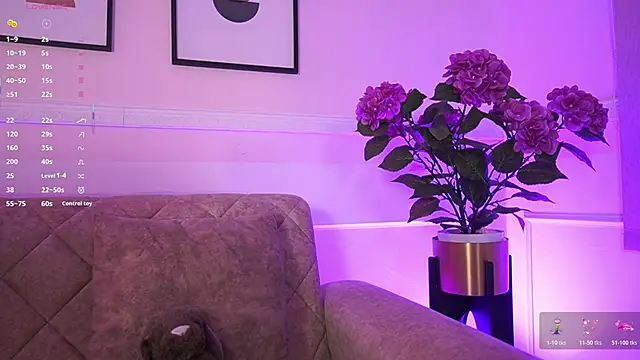 Anybuny online show from 02/04/26, 11:38