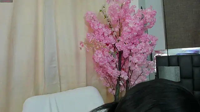  cat 18 online show from 03/21/25, 05:12