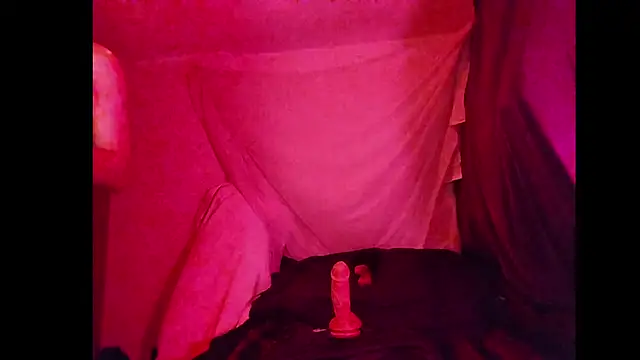 BushBator online show from 03/01/26, 07:54