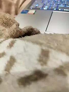 Snapshot of Bemgalado chatting on 01/03/25, 08:22 Bemgalado online show from 01/03/25, 08:22