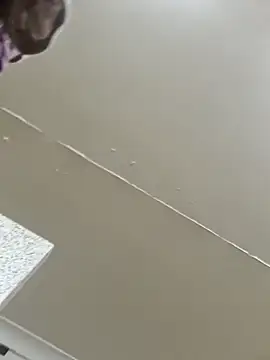 Off the Lesh online show from 03/02/26, 03:52