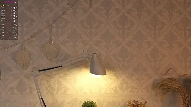 happywhores online show from 01/25/25, 04:02