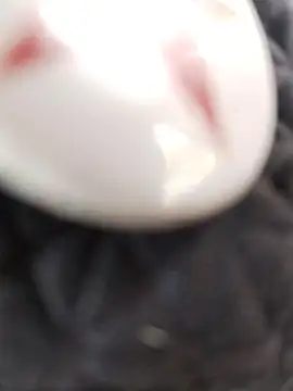 taaylor33 online show from 02/27/26, 08:20