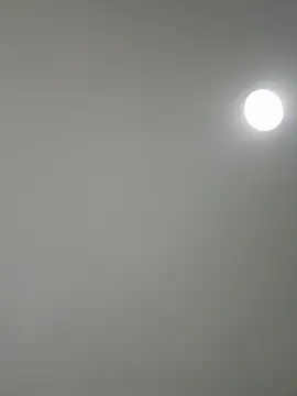 Snapshot of Amber_Rush_ chatting on 09/08/25, 05:45 Amber Rush  online show from 09/08/25, 05:45