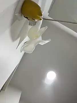 Snapshot of Amber_Rush_ chatting on 09/15/25, 04:29 Amber Rush  online show from 09/15/25, 04:29