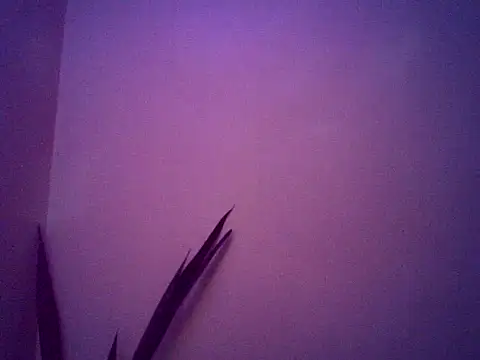 Snapshot of Malandralle chatting on 11/25/25, 05:29 Malandralle online show from 11/25/25, 05:29