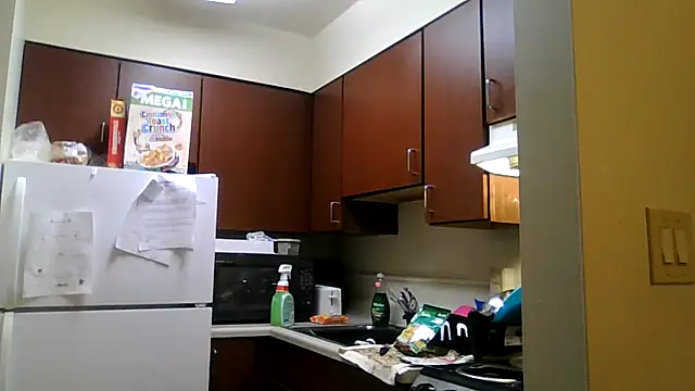 DreamvilleINC online show from 11/02/25, 11:51