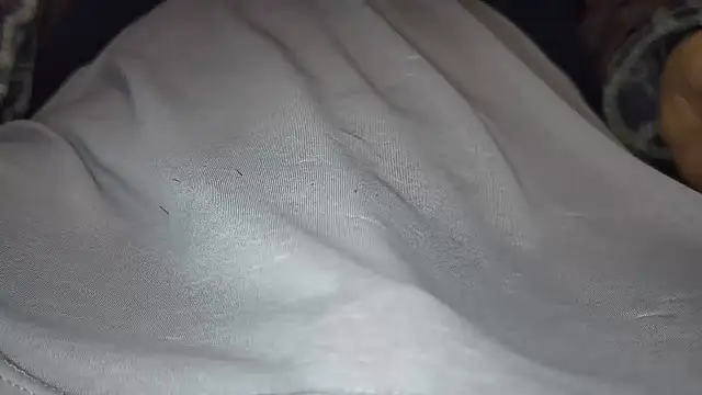 Snapshot of hidenyan02 chatting on 12/05/24, 05:04 hidenyan02 online show from 12/05/24, 05:04