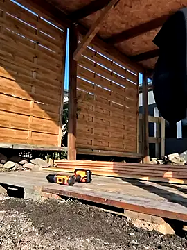 Linalicious online show from 03/21/25, 08:06