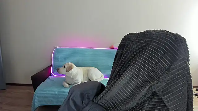 Snapshot of Liam_sexy1 chatting on 12/20/24, 08:06 Liam sexy1 online show from 12/20/24, 08:06