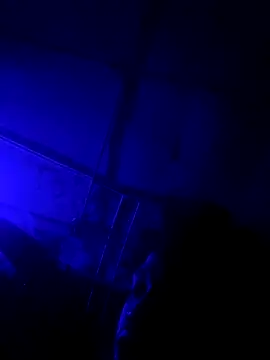 jordontheone1 online show from 11/05/25, 09:48