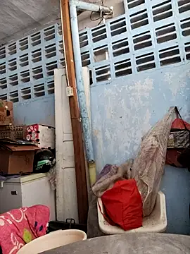 brigitht online show from 11/12/25, 05:02