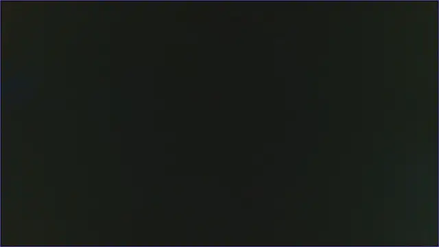 Geisha Seniers online show from 02/13/25, 03:03