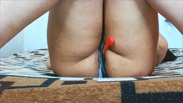 Geisha Seniers online show from 03/11/26, 12:55