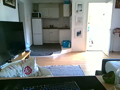 mihaimichael online show from 04/29/26, 07:34