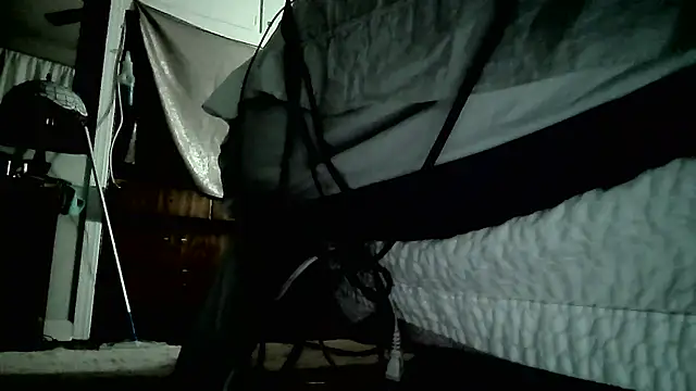 paiday online show from 12/26/24, 12:59