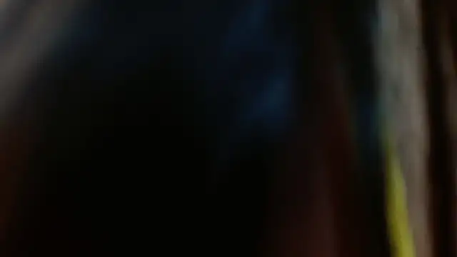 Melikasweetz online show from 12/17/24, 08:32