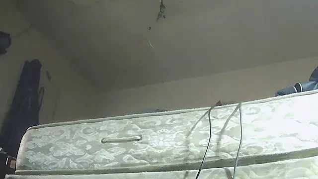 pipeload1275 online show from 01/13/26, 05:57