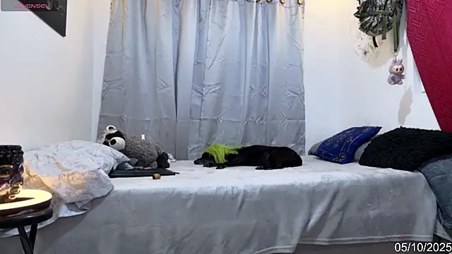 alejo cute online show from 10/06/25, 08:28