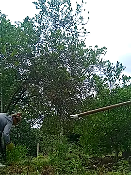 natally ross21 online show from 02/21/25, 12:50