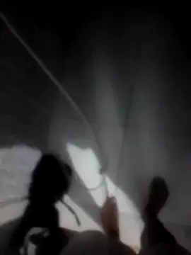 betinhodelas online show from 11/30/25, 05:11