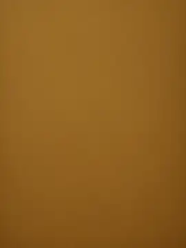 Snapshot of Chriso0007 chatting on 03/14/25, 11:45 Chriso0007 online show from 03/14/25, 11:45